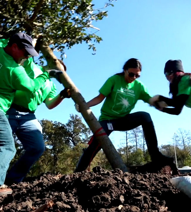 Aramco: Planting Trees in Houston